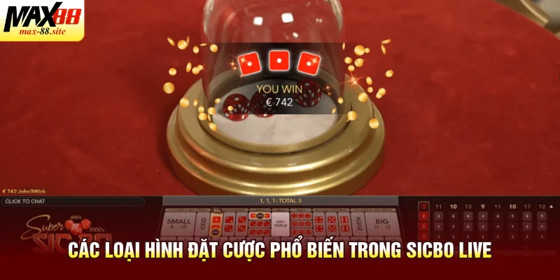 Các loại hình đặt cược phổ biến trong sicbo live